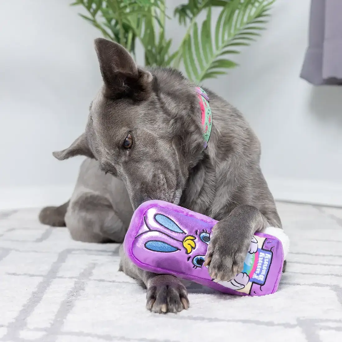 Huxley & Kent Lulubelles Foil Chocolate Bunny