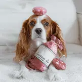 Lambwolf Collective – Saucisson Sec