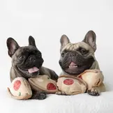 Lambwolf Collective – Deep Dish Pizza