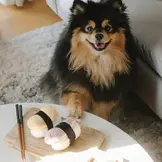 Lambwolf Collective – Sushi