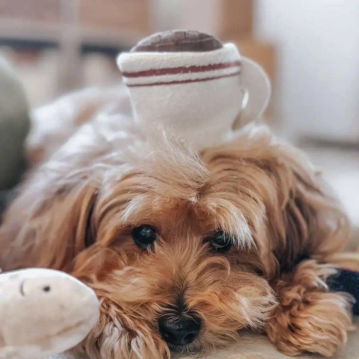 Lambwolf Collective – Espresso Pop