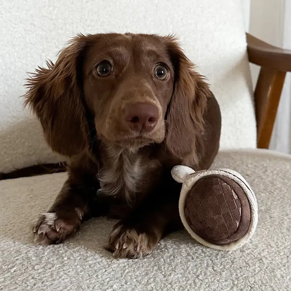 Lambwolf Collective – Espresso Pop