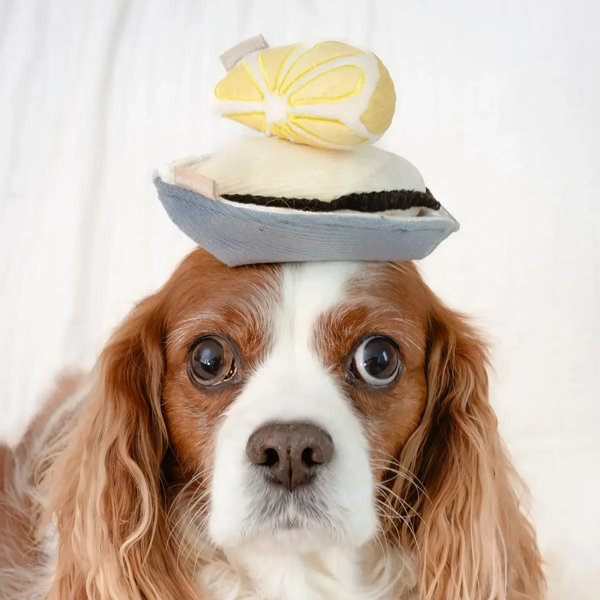 Lambwolf Collective – Gillardeau