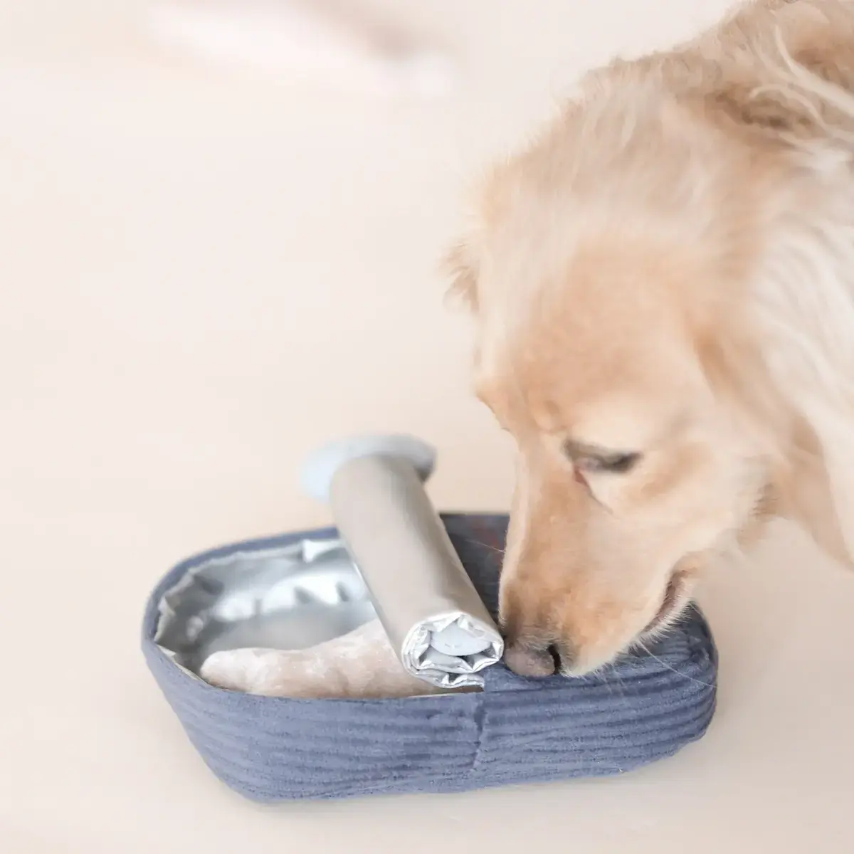 Lambwolf Collective – Sardines