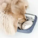 Lambwolf Collective – Sardines