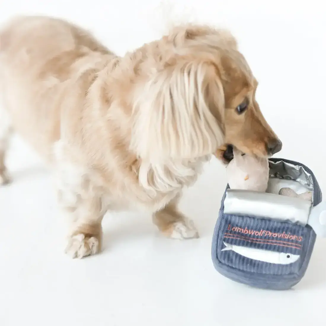 Lambwolf Collective – Sardines