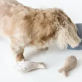 Lambwolf Collective – Sardines