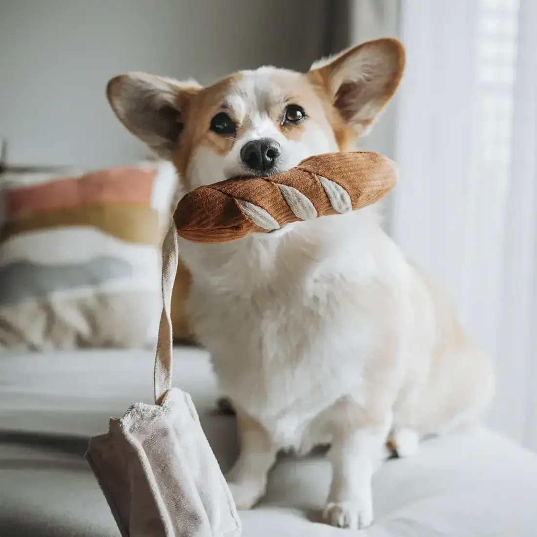 Lambwolf Collective – Mini Baguette