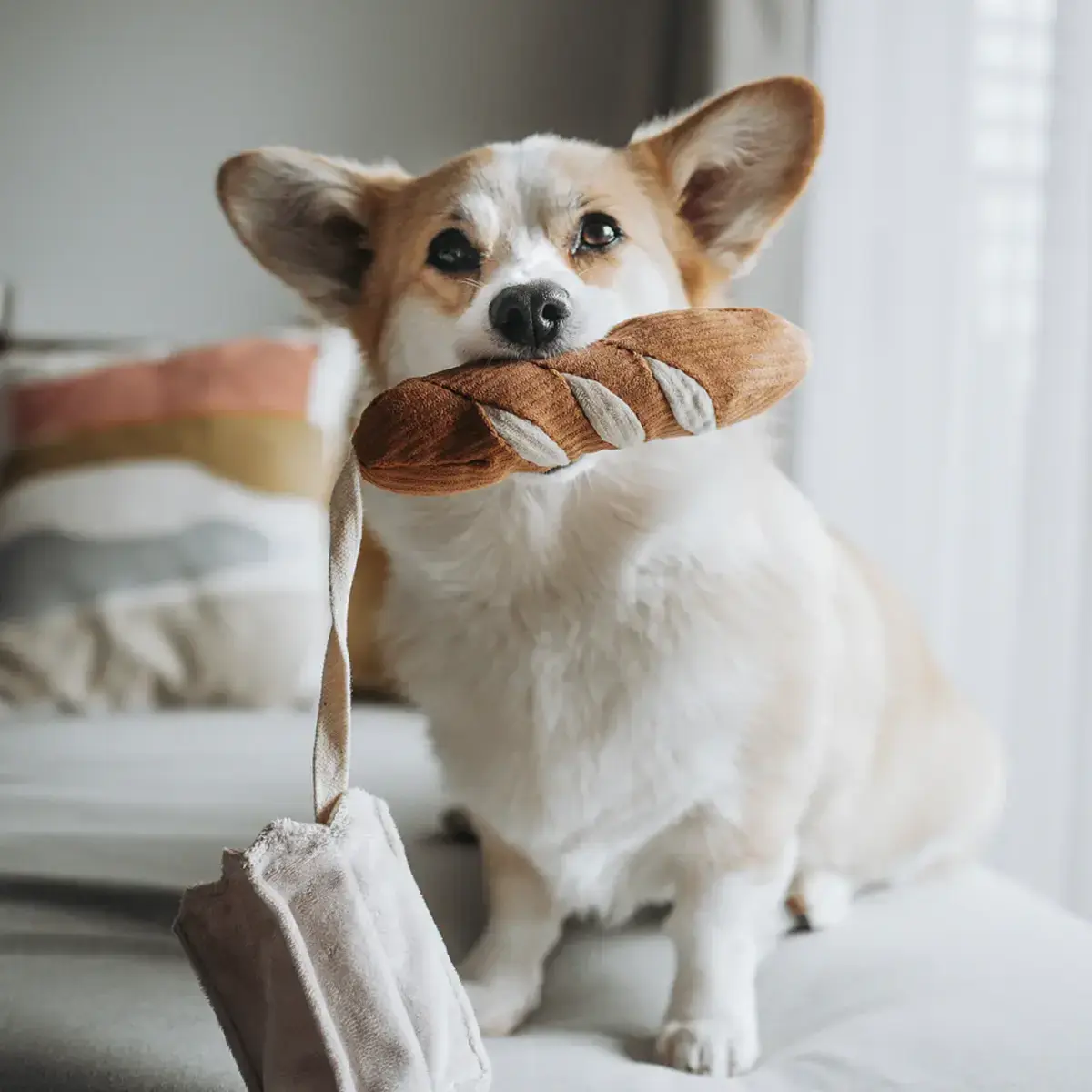 Lambwolf Collective – Mini Baguette