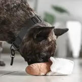 Lambwolf Collective – Mini Baguette