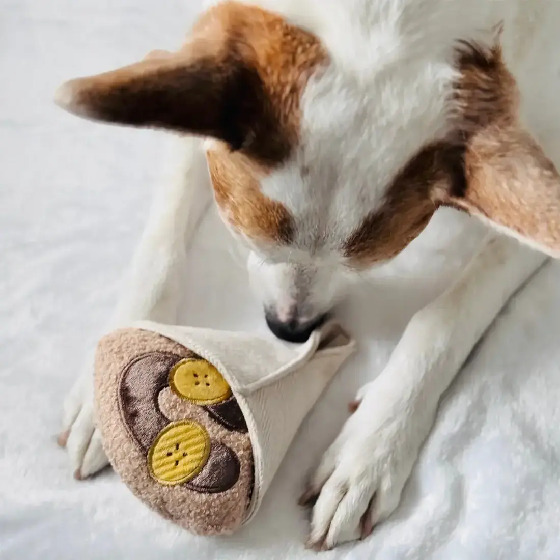 Lambwolf Collective – Crepe