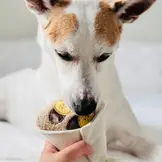 Lambwolf Collective – Crepe