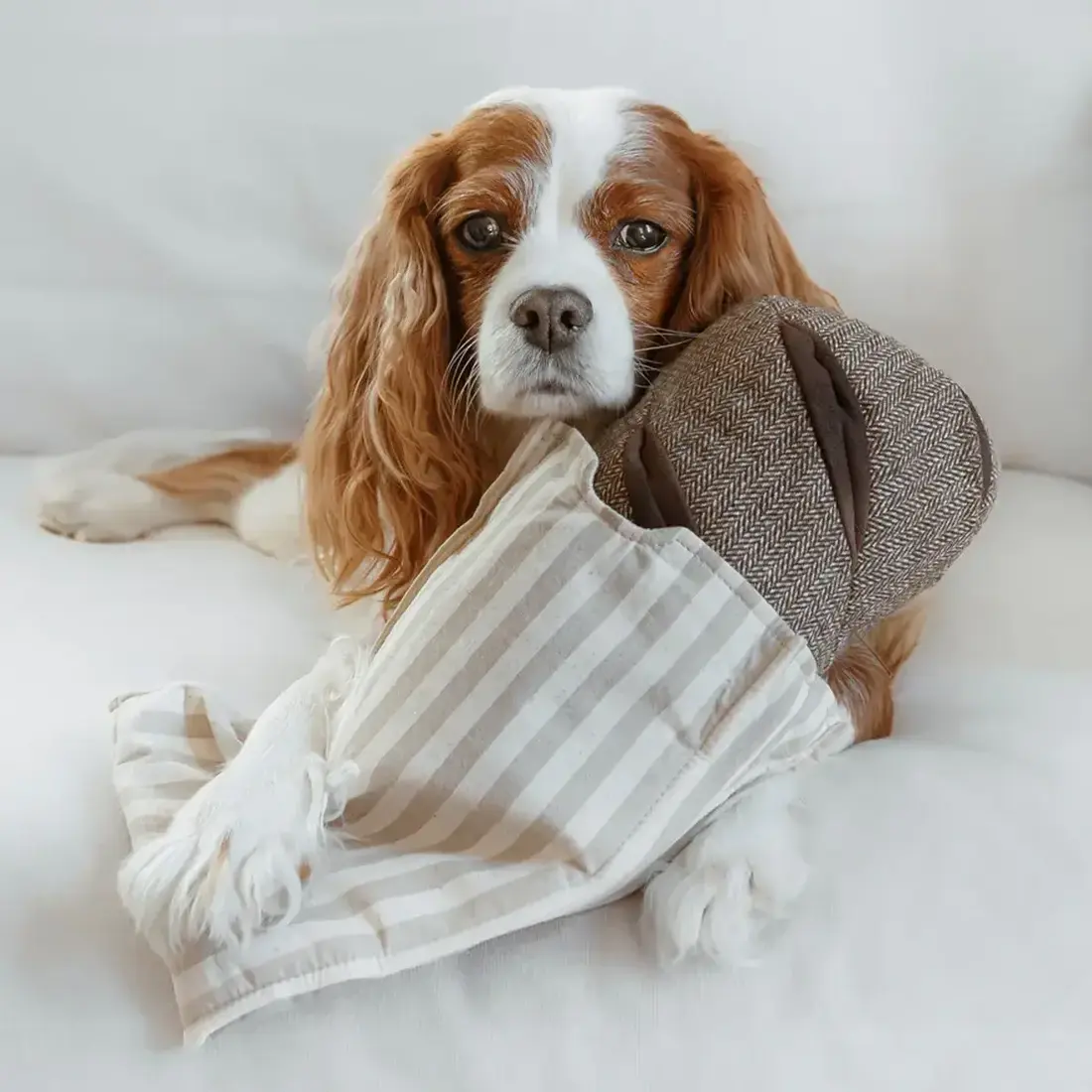 Lambwolf Collective – Rye