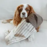 Lambwolf Collective – Rye