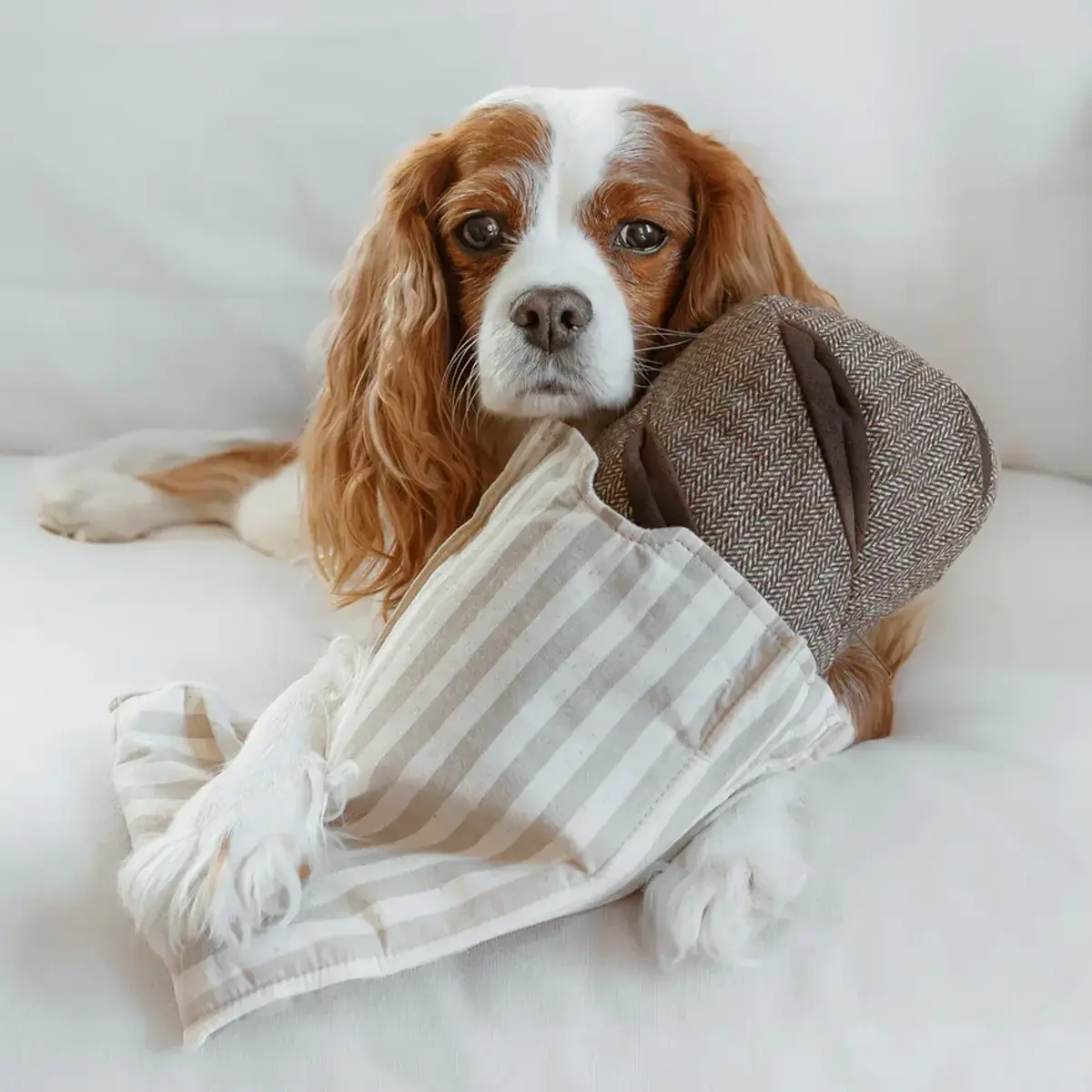 Lambwolf Collective – Rye