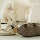 Lambwolf Collective – Rye