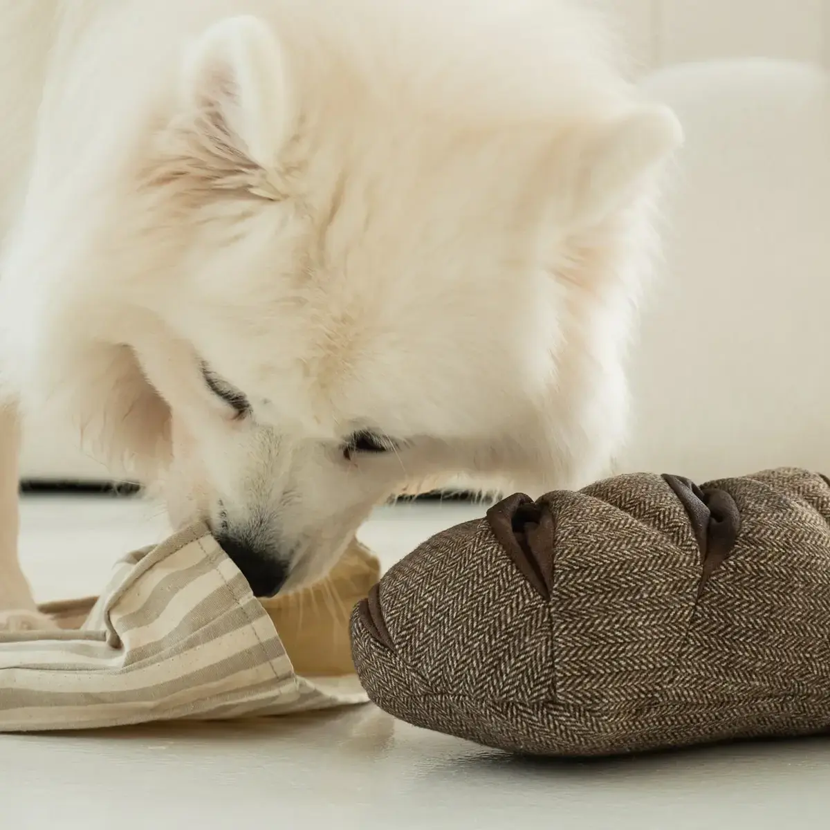 Lambwolf Collective – Rye