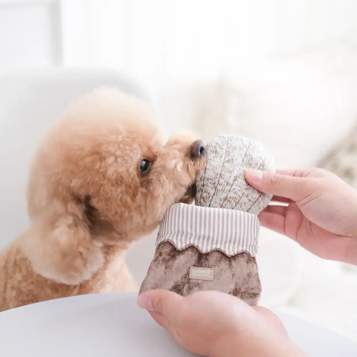 Lambwolf Collective – Petite Two