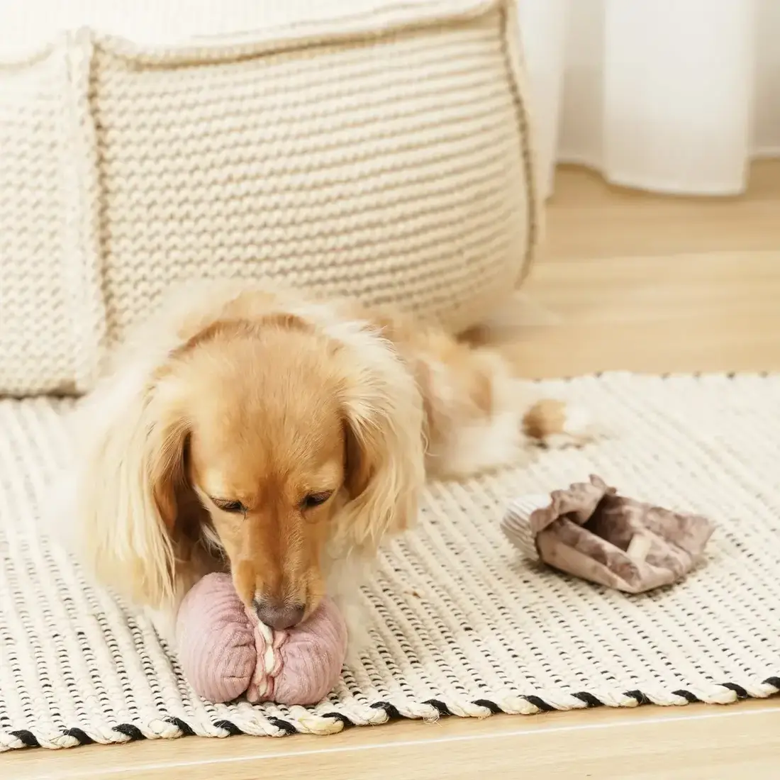 Lambwolf Collective – Petite Two