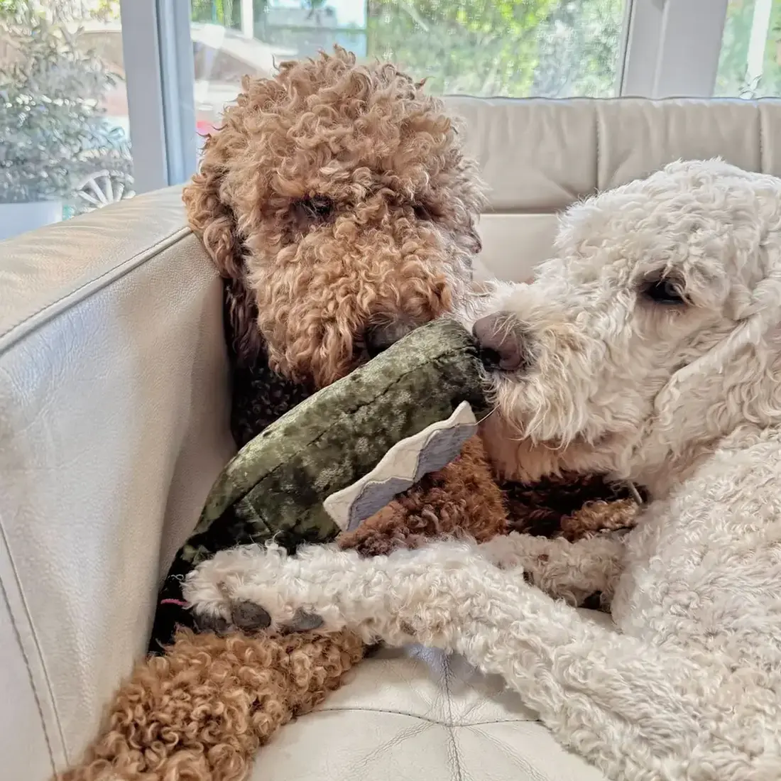 Lambwolf Collective – Merlot