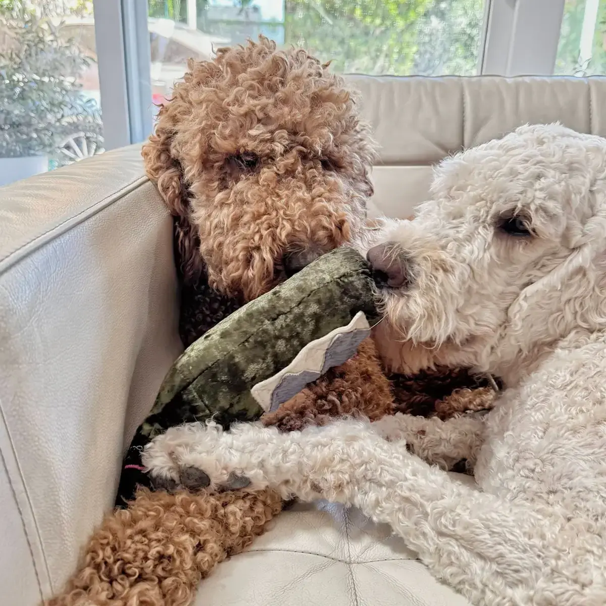 Lambwolf Collective – Merlot