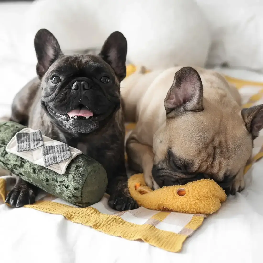 Lambwolf Collective – Merlot