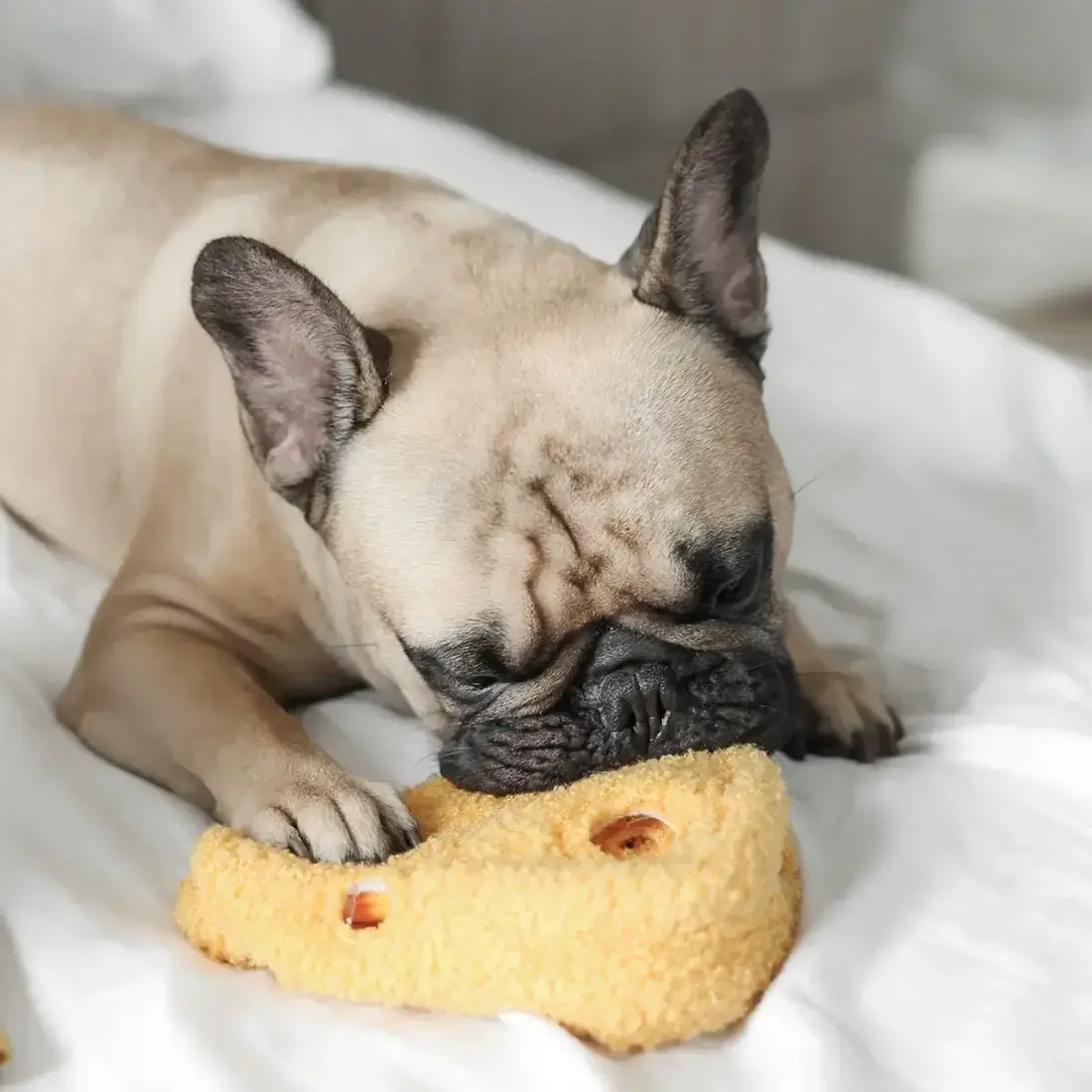 Lambwolf Collective – Fromage