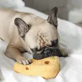 Lambwolf Collective – Fromage