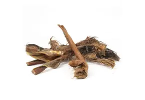 Paardenvacht Repen Lang