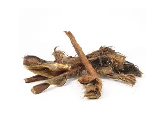 Paardenvacht Repen Lang