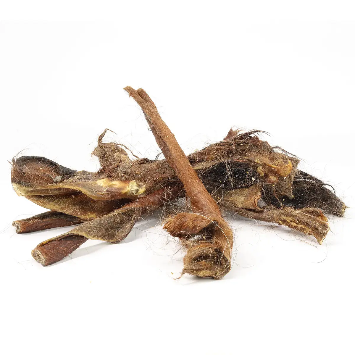 Paardenvacht Repen Lang