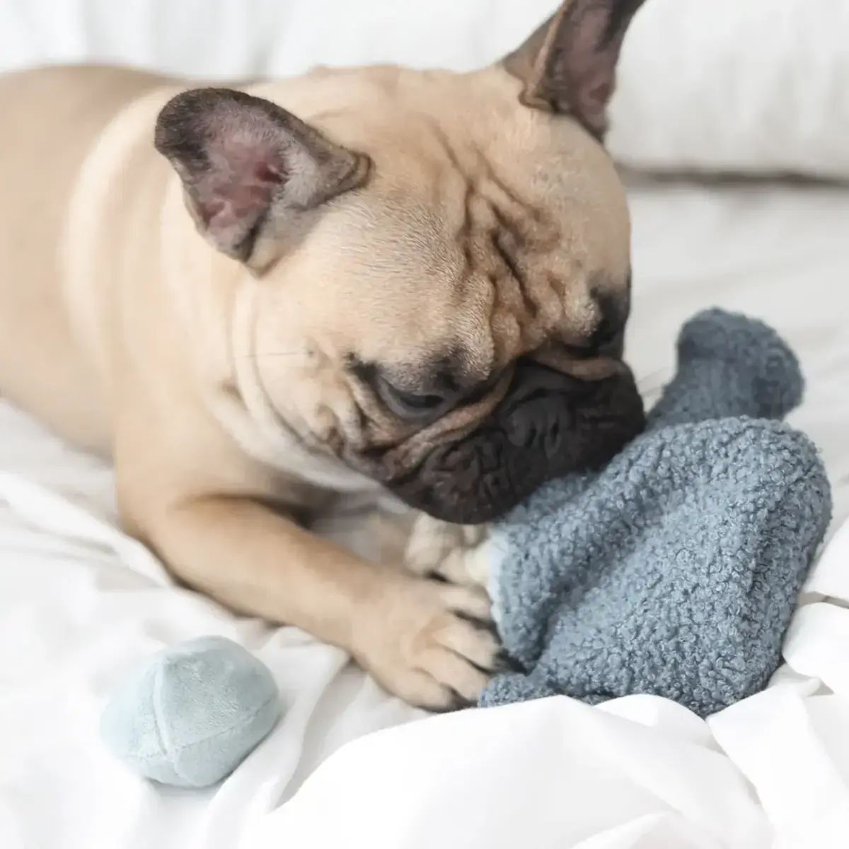 Lambwolf Collective – Watering Can