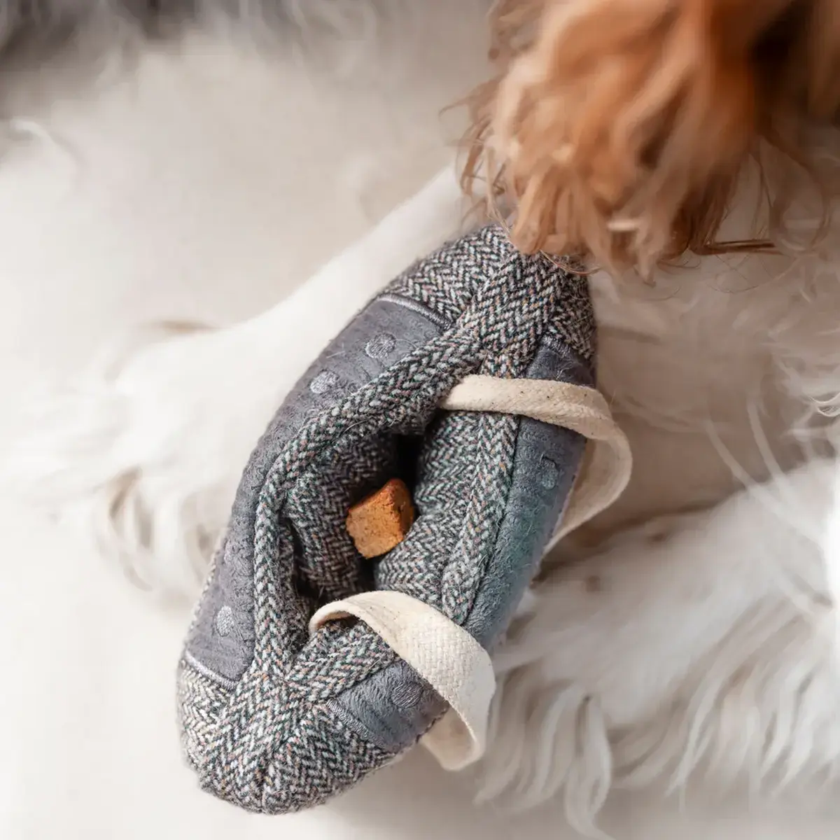 Lambwolf Collective – Cassette