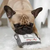 Lambwolf Collective – Cassette