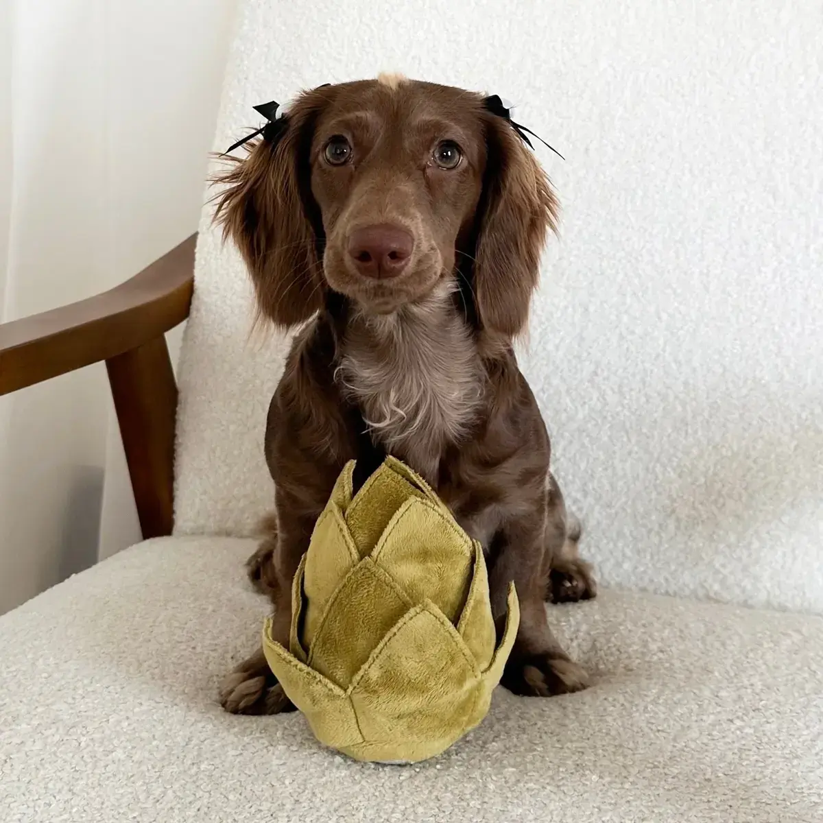 Lambwolf Collective – Artichoke