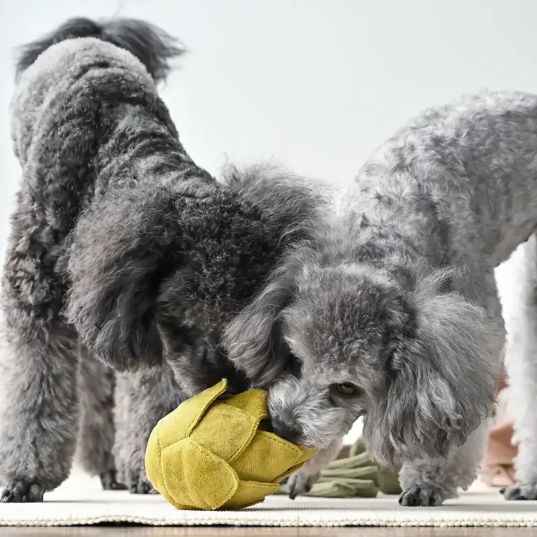 Lambwolf Collective – Artichoke