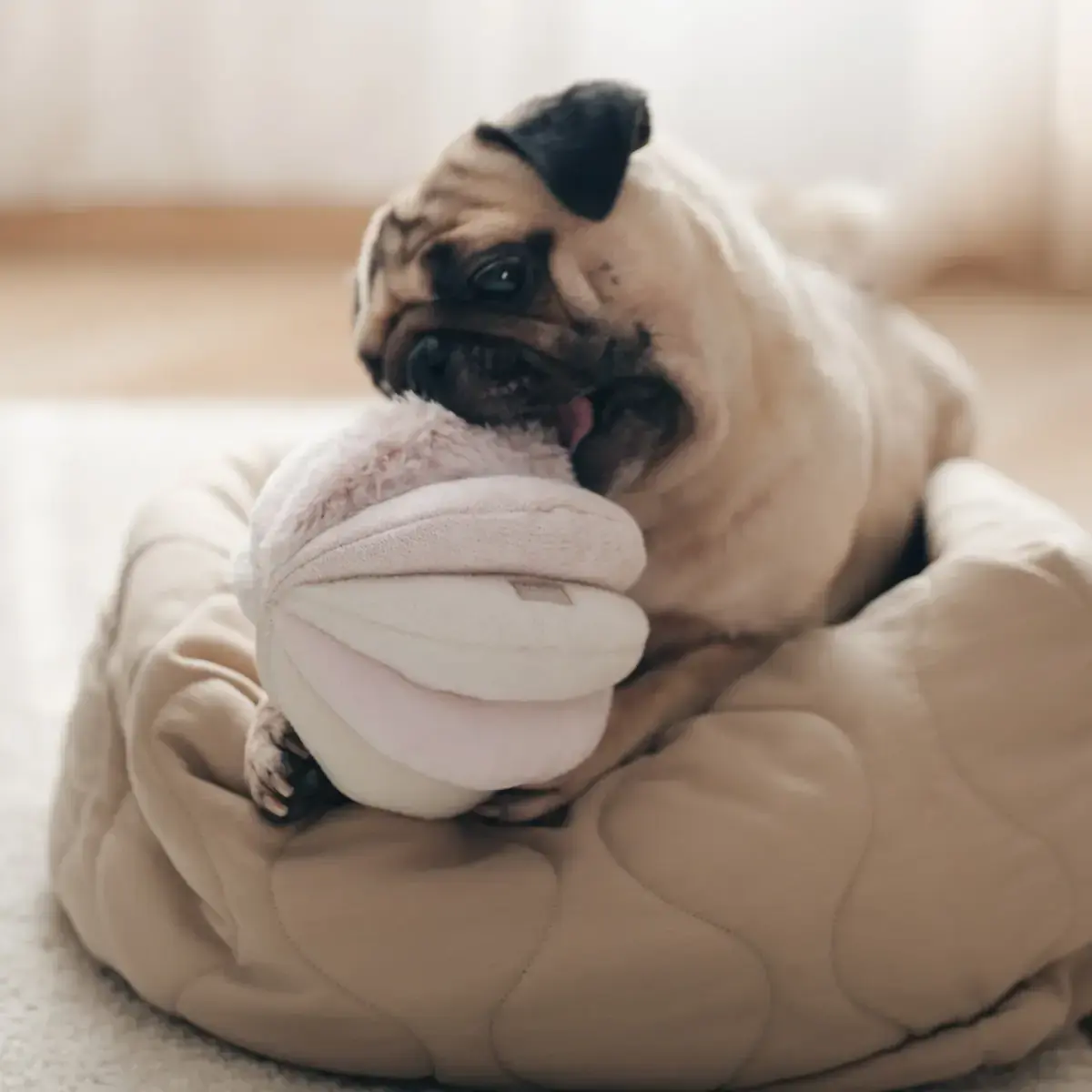 Lambwolf Collective – Toto