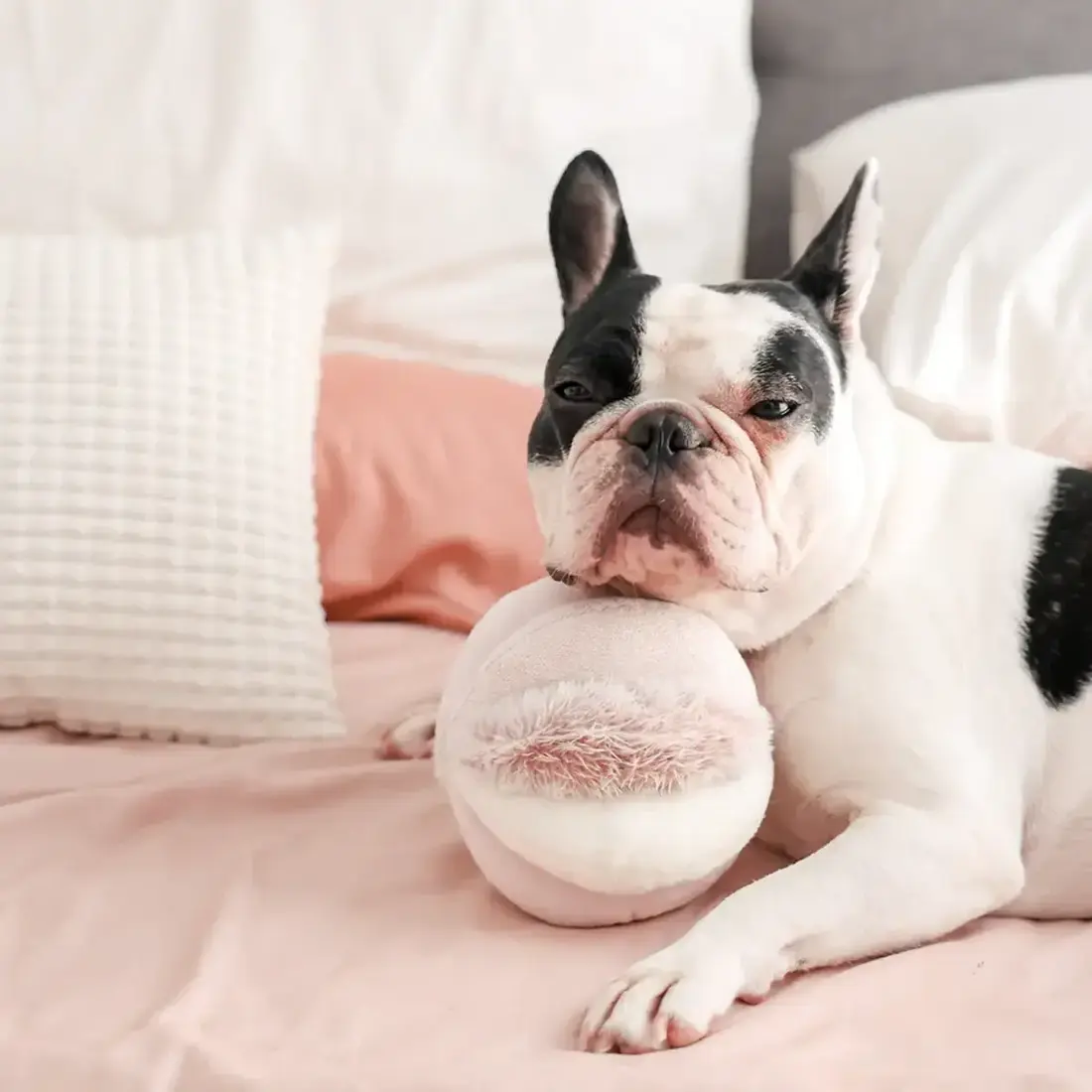 Lambwolf Collective – Toto