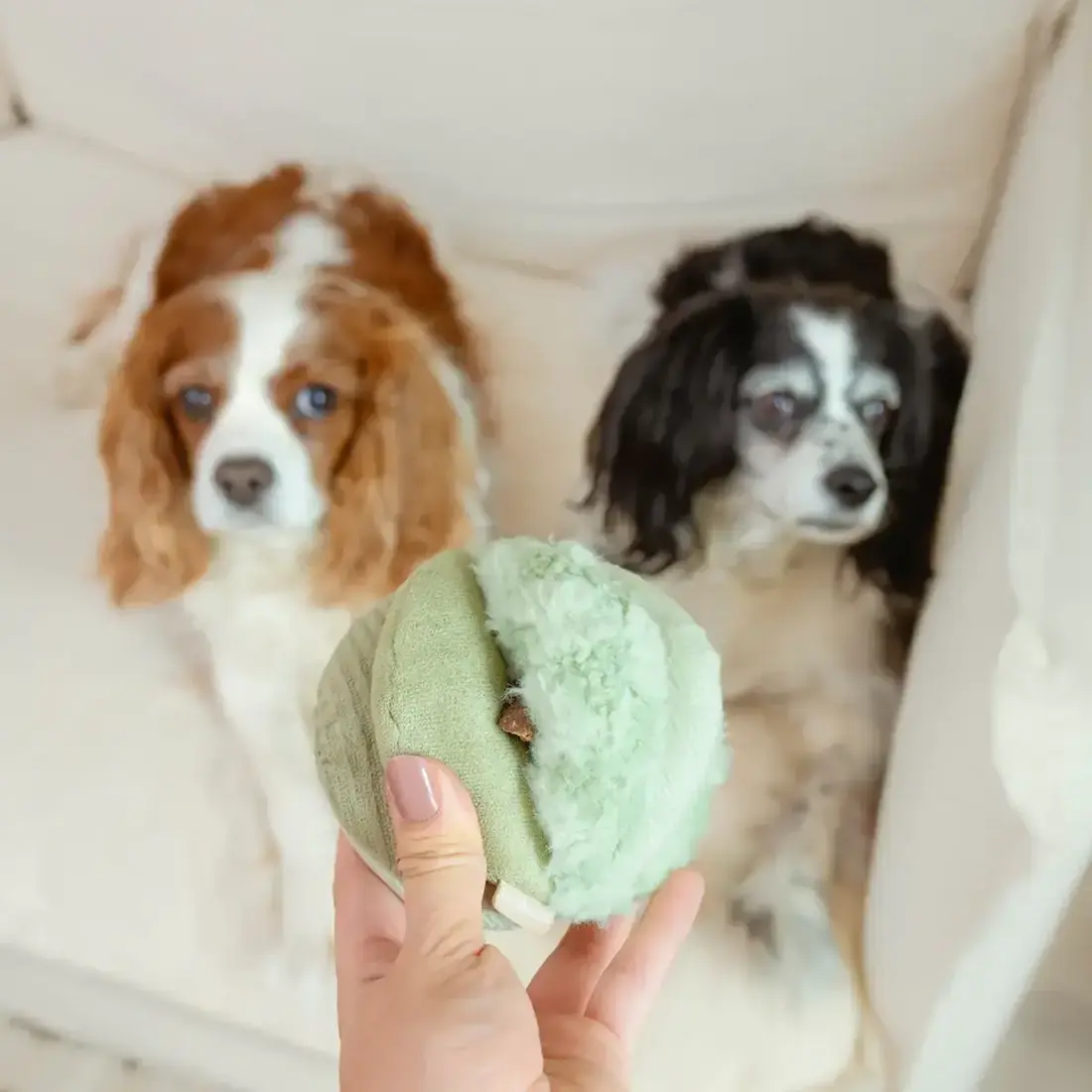 Lambwolf Collective – Toto Small