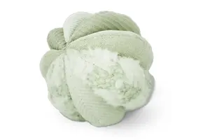 Lambwolf Collective – Toto Small