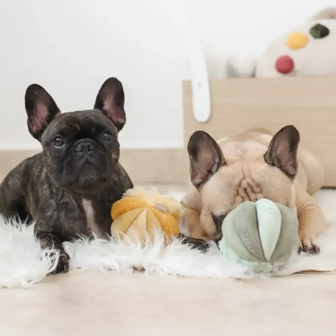 Lambwolf Collective – Toto Small