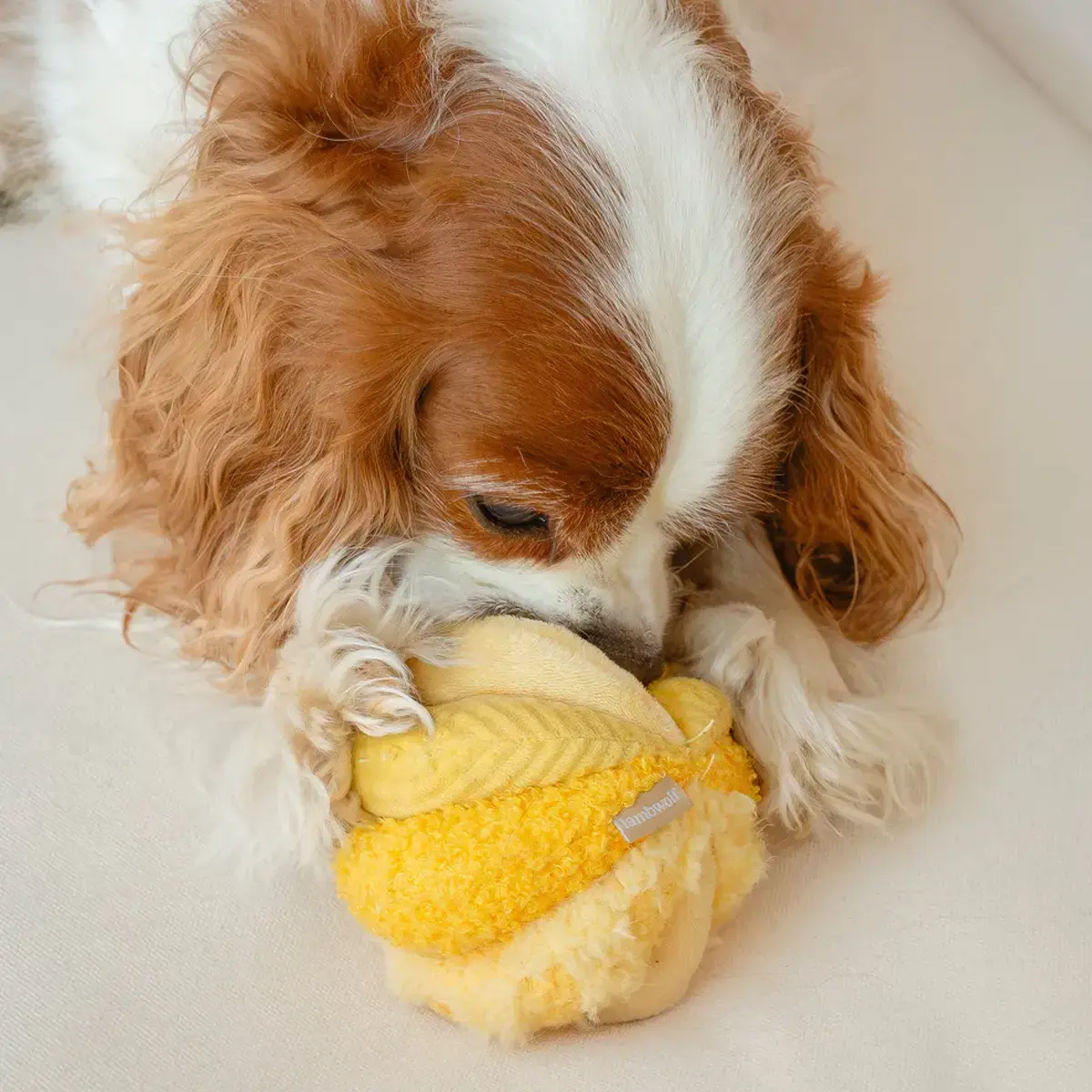 Lambwolf Collective – Toto Small