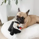 Lambwolf Collective – Instant Camera