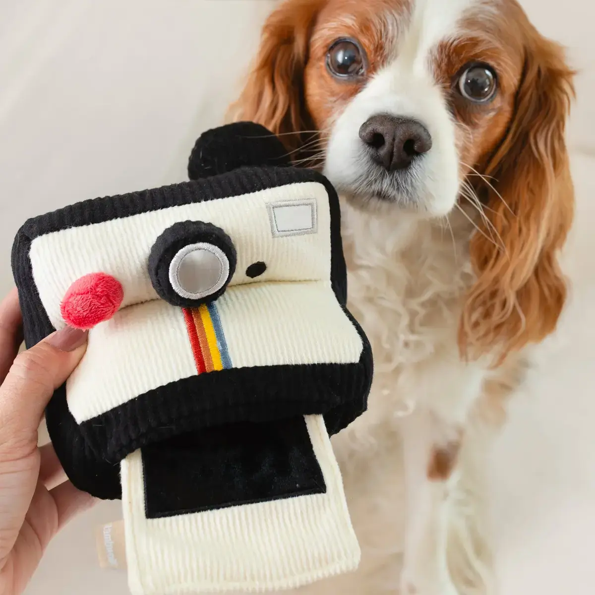 Lambwolf Collective – Instant Camera