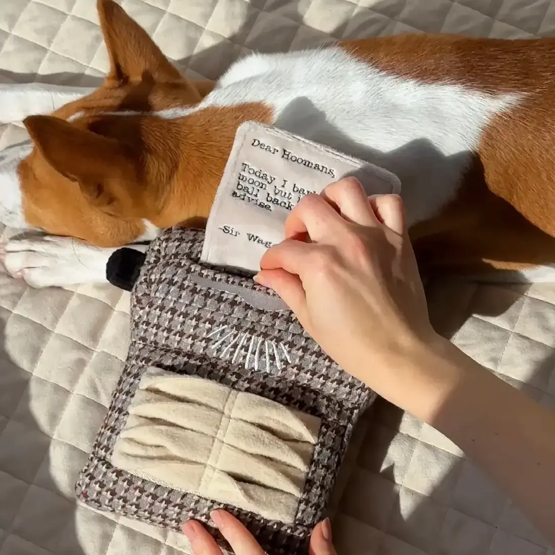 Lambwolf Collective – Typewriter