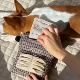 Lambwolf Collective – Typewriter