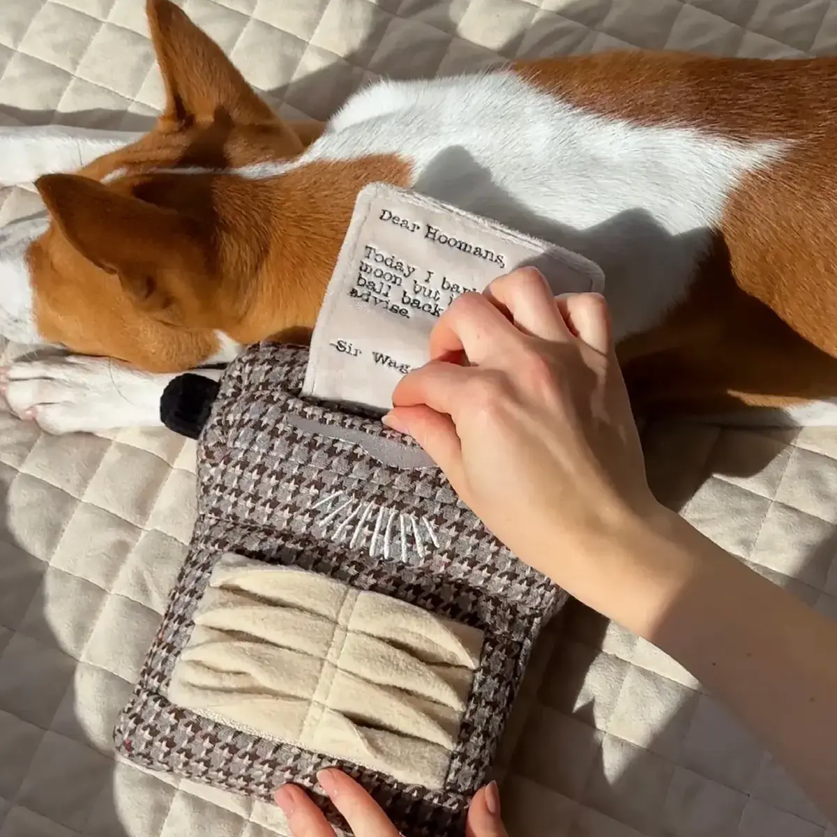 Lambwolf Collective – Typewriter