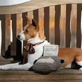 Lambwolf Collective – Typewriter