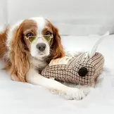 Lambwolf Collective – Typewriter