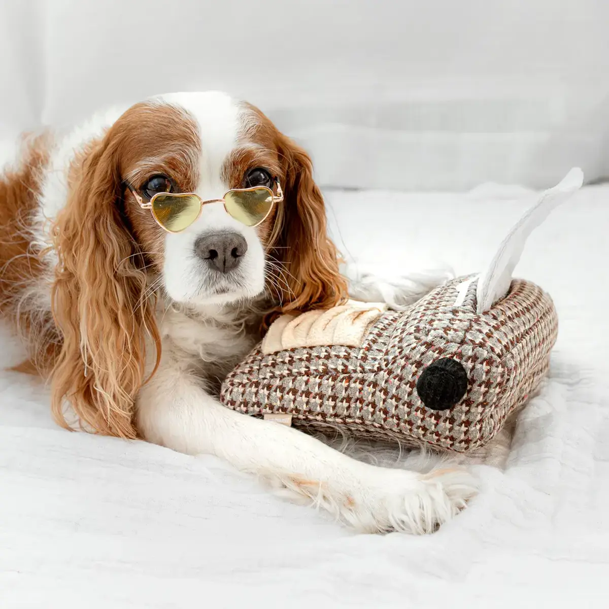 Lambwolf Collective – Typewriter